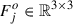 Mathematical equation: $ F_{j}^{o} \in \mathbb{R}^ {3\times3} $