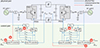 Thumbnail: Figure 1. Refer to the following caption and surrounding text.