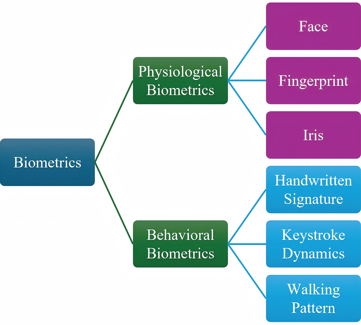 Figure 1. Refer to the following caption and surrounding text.