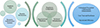 Thumbnail: Figure 2. Refer to the following caption and surrounding text.