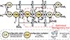 Thumbnail: Figure 11. Refer to the following caption and surrounding text.