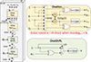 Thumbnail: Figure 15. Refer to the following caption and surrounding text.