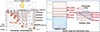 Thumbnail: Figure 17. Refer to the following caption and surrounding text.
